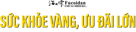 CHƯƠNG TRÌNH GIẢM GIÁ 5%