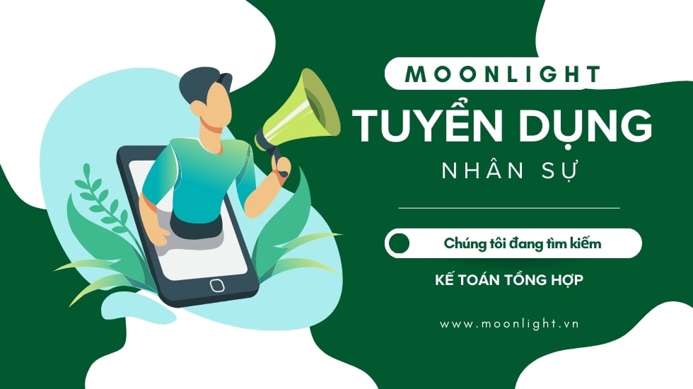 Công ty TNHH đầu tư và thương mại VIELIGHT tuyển dụng Kế Toán Tổng Hợp