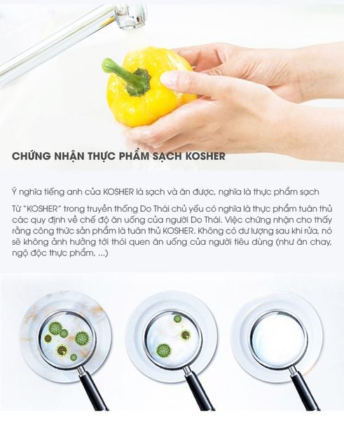 Nước rửa chén thực vật Earth Choice