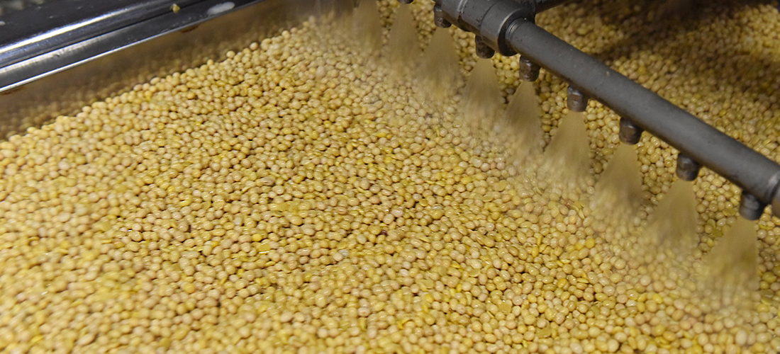 Quy trình chế biến đậu nành làm tương Miso Marukome