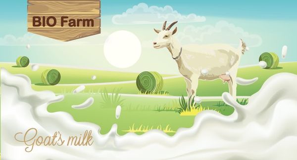 Xà bông cục chiết xuất sữa dê và mật ong Country Life Goat's Milk Úc 100 gr