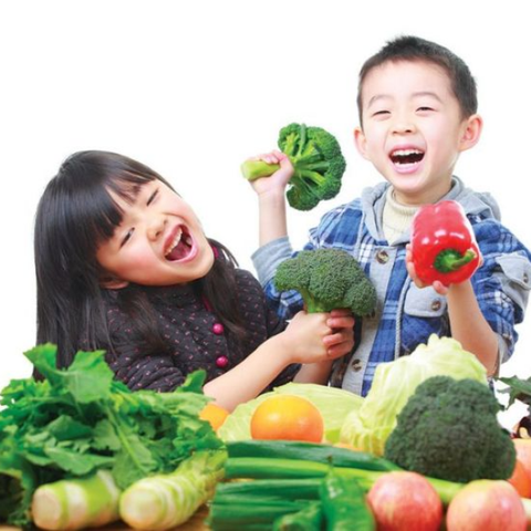 Dinh dưỡng cho bé: Cẩm nang ăn uống khoa học