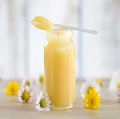 Sữa ong chúa Royal Jelly - một người bạn của người phụ nữ
