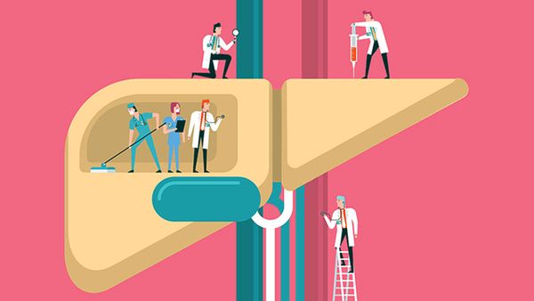 Hình ảnh bài viết