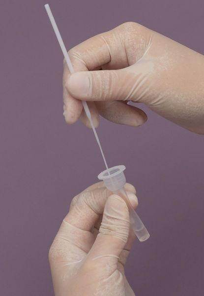 Hình ảnh bài viết