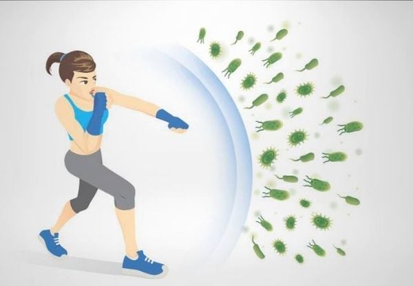 Hình ảnh bài viết