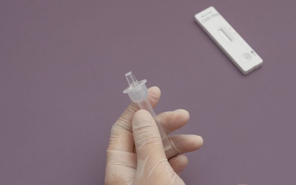 Hình ảnh bài viết