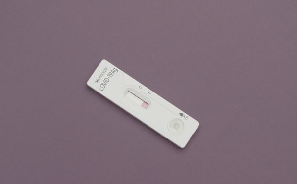 Hình ảnh bài viết