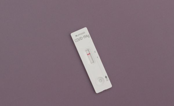 Hình ảnh bài viết