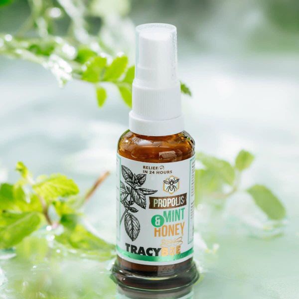 Hình ảnh bài viết