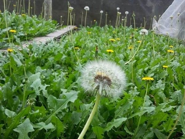 Hình ảnh bài viết