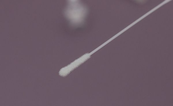 Hình ảnh bài viết