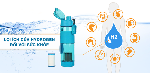 Hình ảnh bài viết