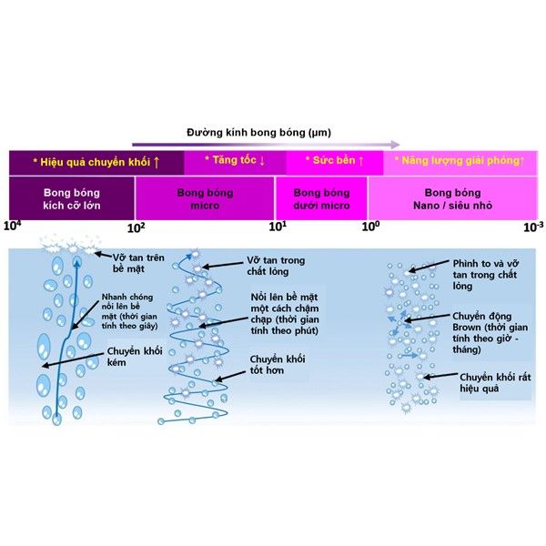 Hình ảnh bài viết