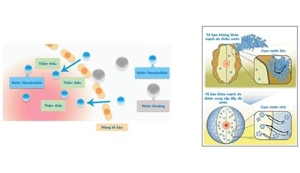 Hình ảnh bài viết