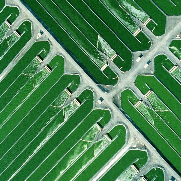 Hình ảnh bài viết