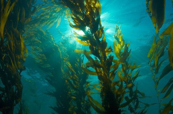 Hình ảnh bài viết