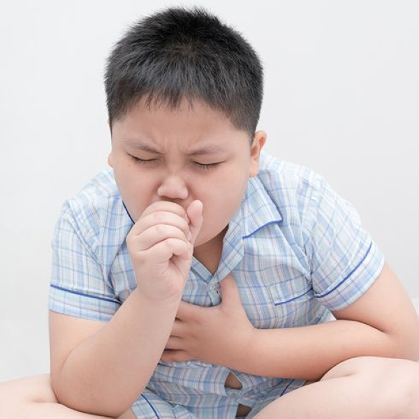 Hình ảnh bài viết