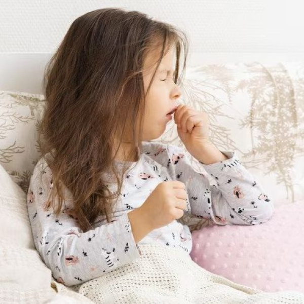 Hình ảnh bài viết