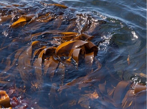 Hình ảnh bài viết