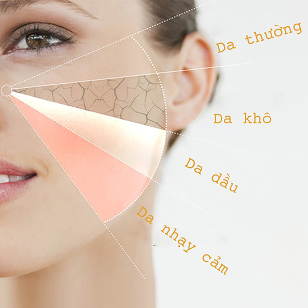 Hình ảnh bài viết