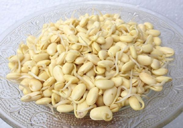 Hình ảnh bài viết