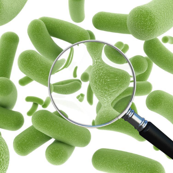 Hình ảnh bài viết