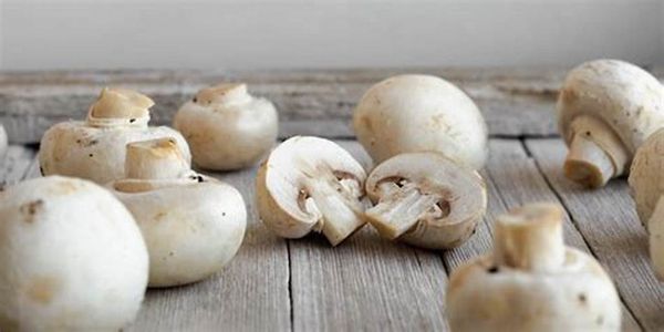 Hình ảnh bài viết