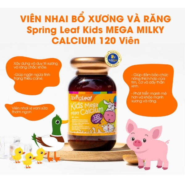 Hình ảnh bài viết