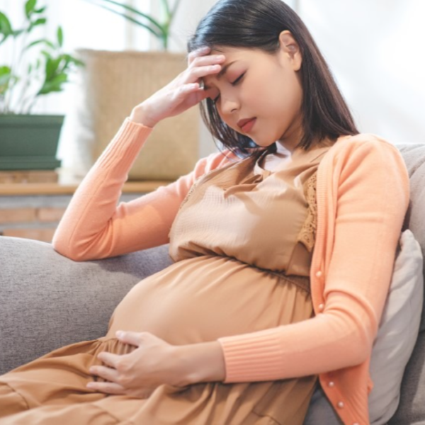 Hình ảnh bài viết