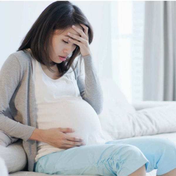 Hình ảnh bài viết