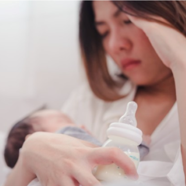 Hình ảnh bài viết