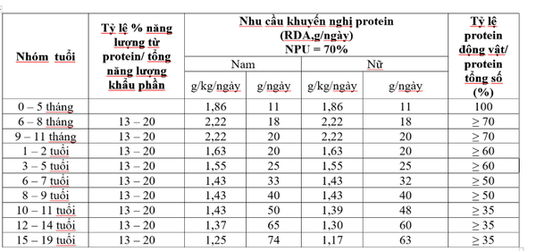 Hình ảnh bài viết