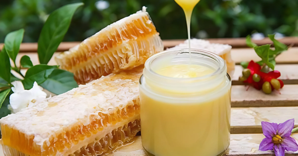 Hình ảnh bài viết