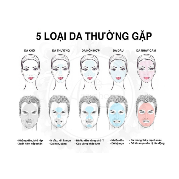 Hình ảnh bài viết