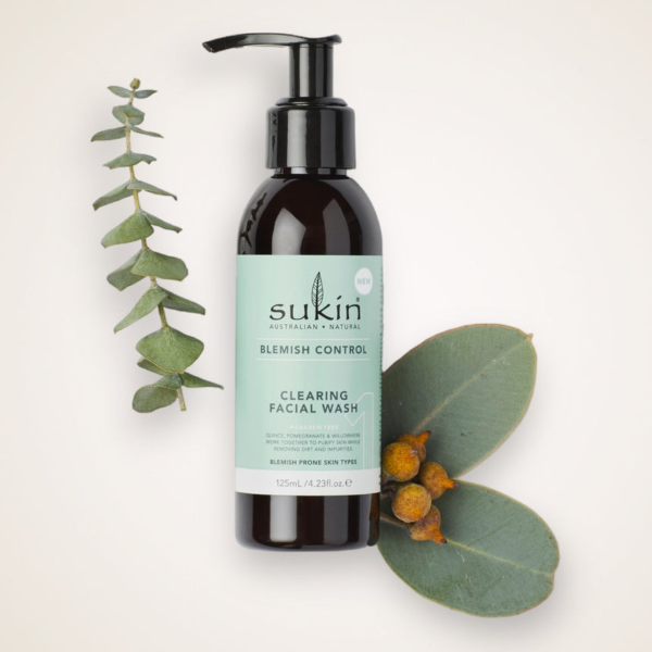 Hình ảnh bài viết