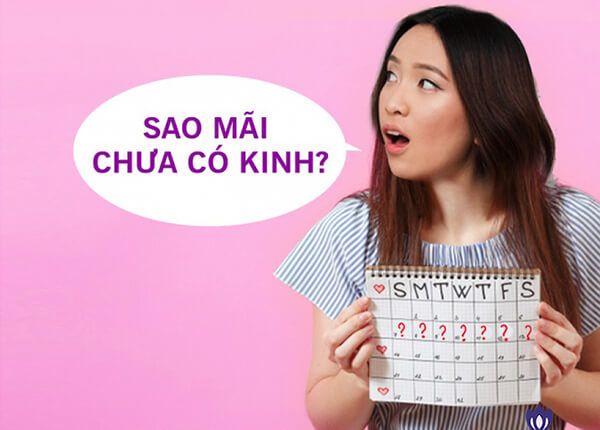 Hình ảnh bài viết