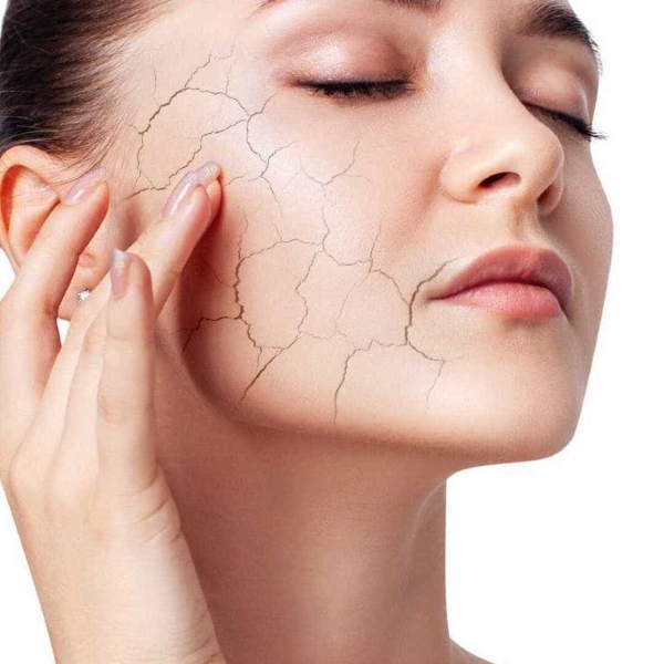 Hình ảnh bài viết