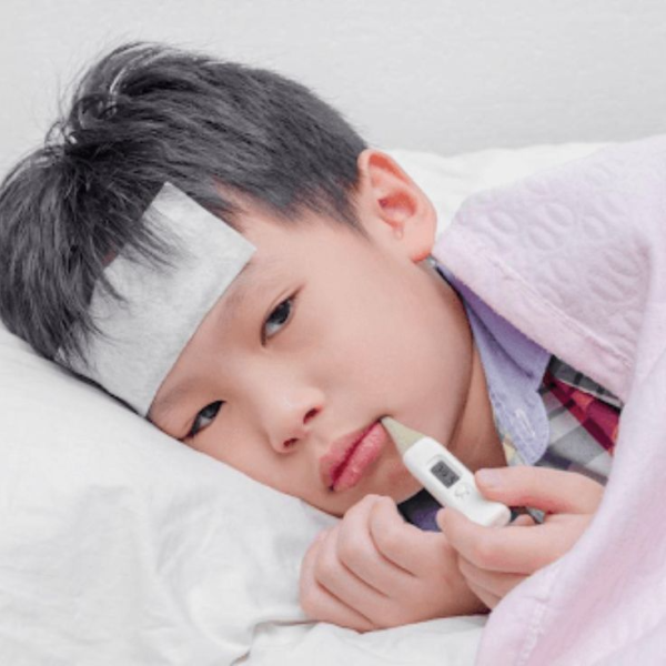 Hình ảnh bài viết