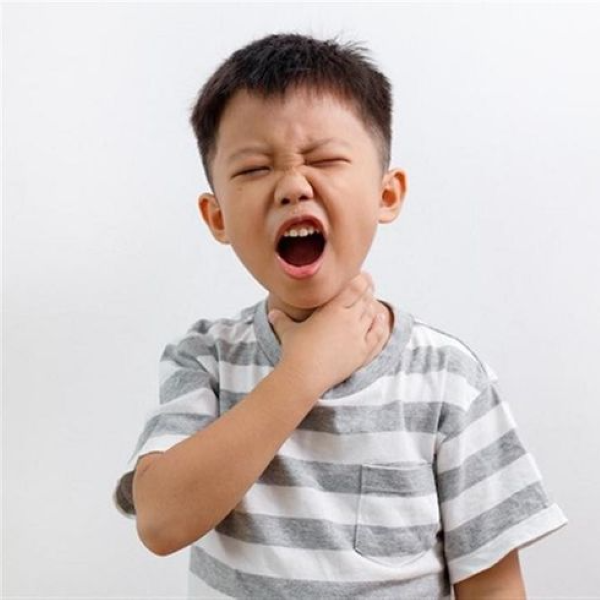 Hình ảnh bài viết