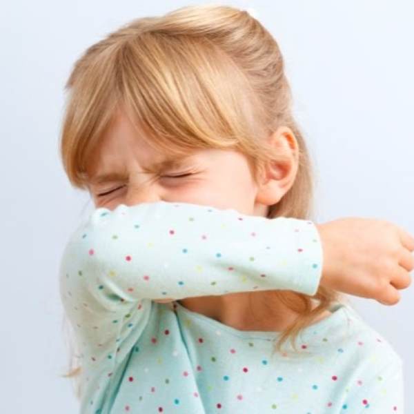 Hình ảnh bài viết