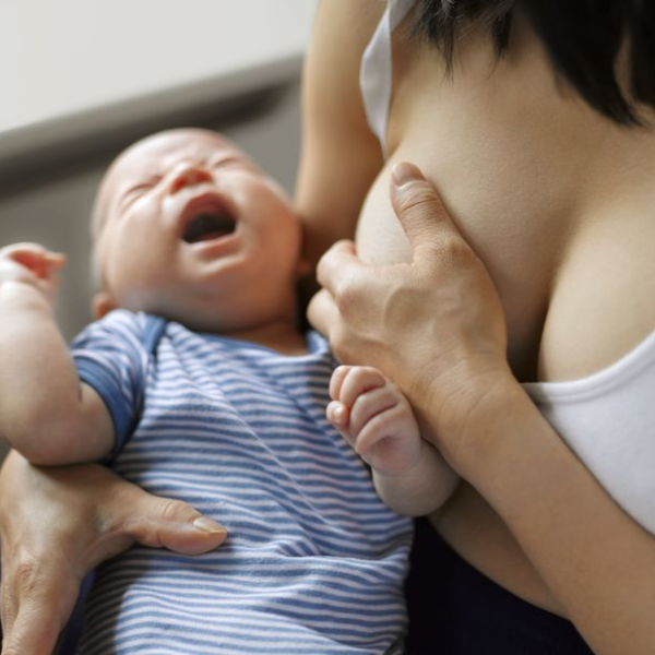 Hình ảnh bài viết