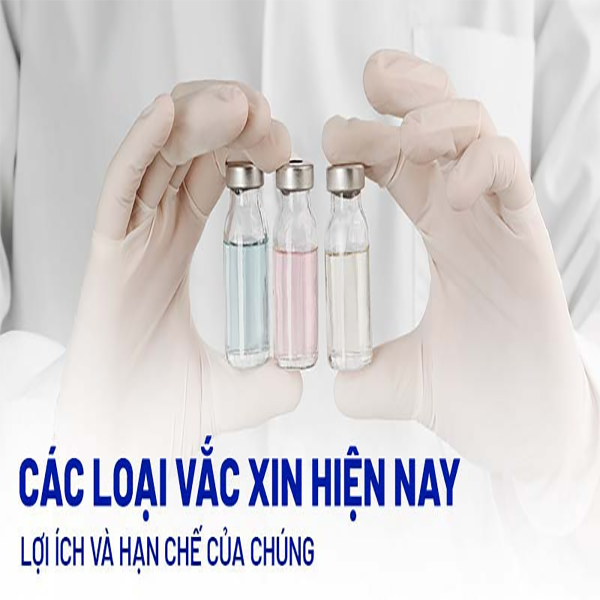 Hình ảnh bài viết