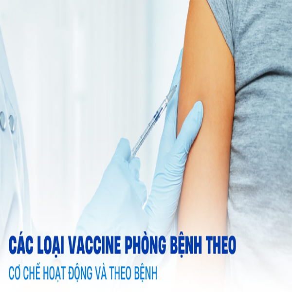 Hình ảnh bài viết