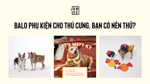 Balo phụ kiện cho thú cưng, bạn có nên thử?