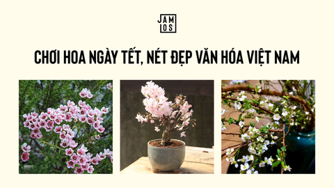 Chơi hoa ngày Tết, nét đẹp văn hóa Việt Nam