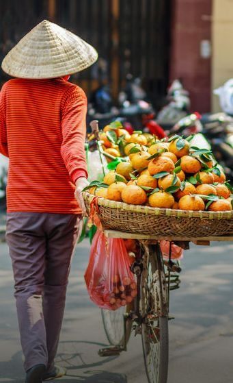 Xe gánh trái cây chợ Tết