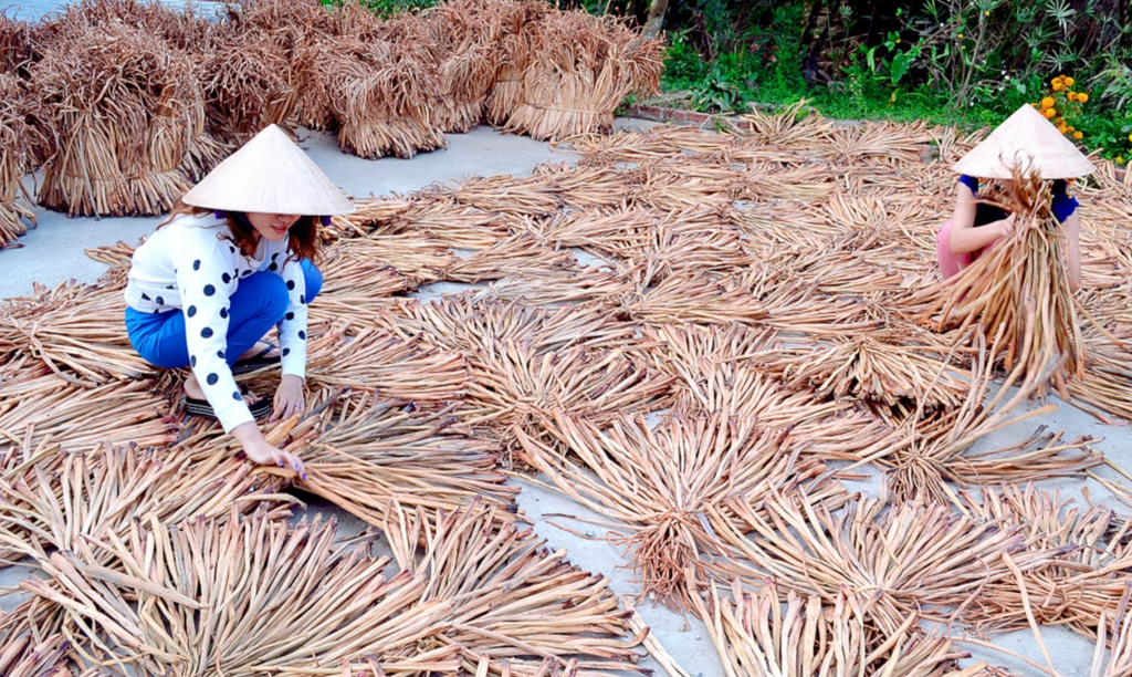 3-luc-binh-phoi-kho