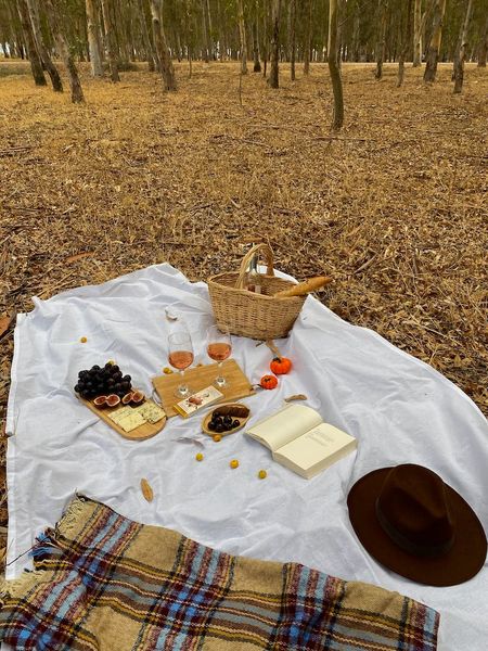 Thảm trải picnic nhiều lựa chọn