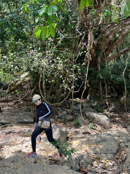 Trekking khu vực địa hình rừng